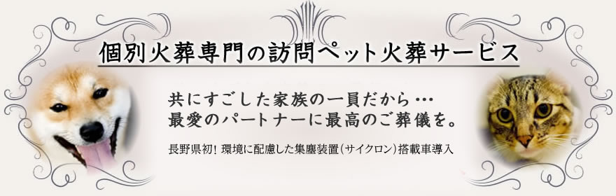 mainvisual_kasou.jpg