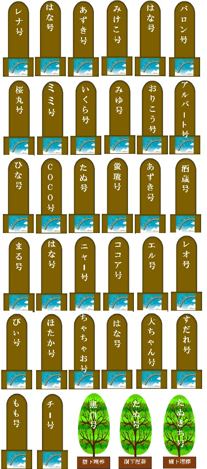 02.jpg