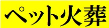 100.jpg